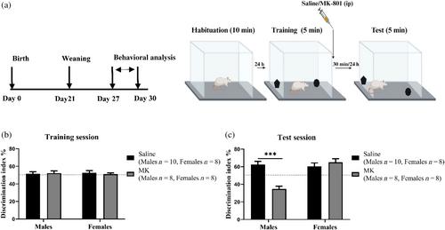 Differential role of NMDA receptors in hippocampal-dependent spatial memory and plasticity in juvenile male and female rats