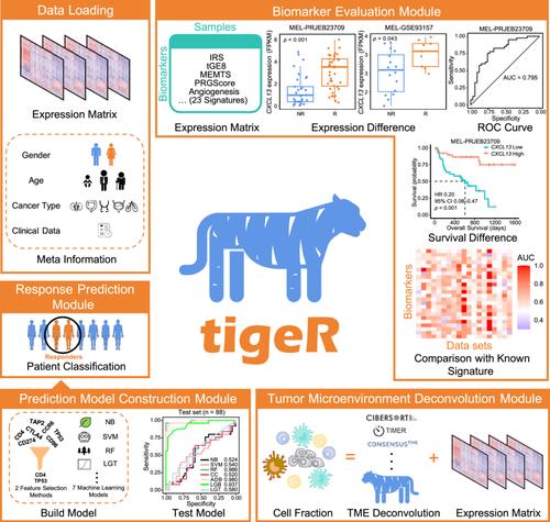 tigeR: Tumor immunotherapy gene expression data analysis R package