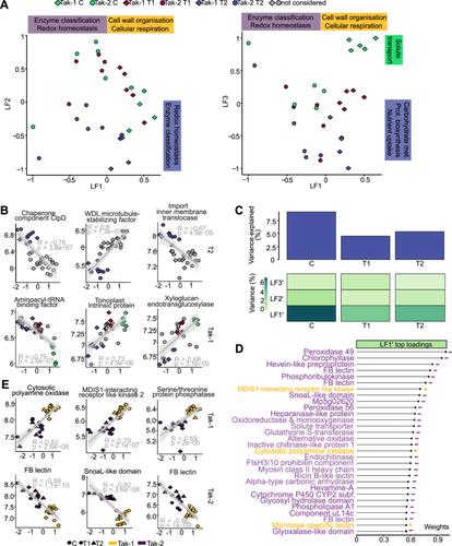 Proteomic dynamics revealed sex-biased responses to combined heat-drought stress in Marchantia