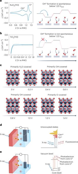 Probing intermediate configurations of oxygen evolution catalysis across the light spectrum