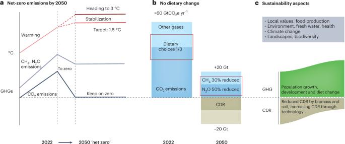 Ruminating on sustainable food systems in a net-zero world