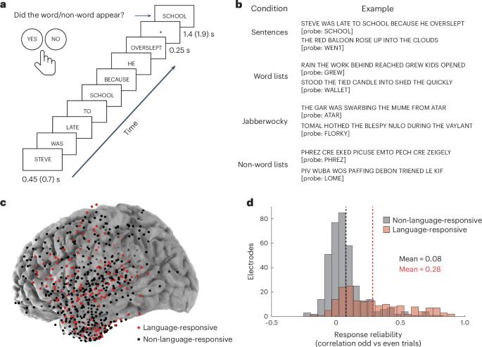 Neural populations in the language network differ in the size of their temporal receptive windows