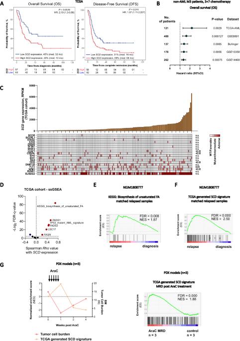 Stearoyl-CoA desaturase inhibition is toxic to acute myeloid leukemia displaying high levels of the de novo fatty acid biosynthesis and desaturation