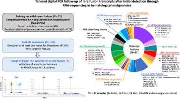 Tailored Digital PCR Follow-Up of Rare Fusion Transcripts after Initial Detection through RNA Sequencing in Hematological Malignancies