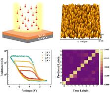 Synaptic memristors based on BaTiO3 thin films irradiated by swift heavy ions for neuromorphic computing†