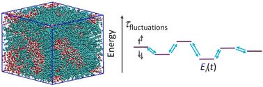The dynamic nature of electrostatic disorder in organic mixed ionic and electronic conductors†