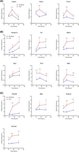 Transcriptional cascades during fasting amplify gluconeogenesis and instigate a secondary wave of ketogenic gene transcription