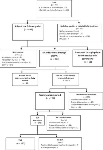 Hepatitis C treatment outcome among people in prison: The SToP-C study