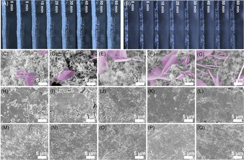 Ion-sieving MXene flakes with quantum dots enable high plating capacity for dendrite-free Zn anodes