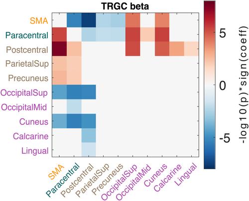 Cortical networks of parkinsonian gait: a metabolic and functional connectivity study