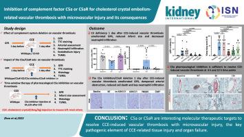 Inhibition of complement factor C5a or C5aR for cholesterol crystal embolism–related vascular thrombosis with microvascular injury and its consequences