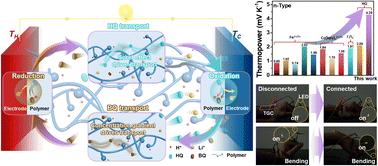 Realizing a high-performance n-type thermogalvanic cell by tailoring the thermodynamic equilibrium†