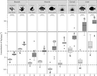 Mercury Accumulation and Transfer in Hydrothermal Coastal Environment: The Case of the Geothermal Plant of Bouillante