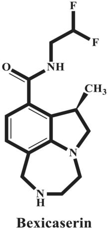 Progress report on new medications for seizures and epilepsy: A summary of the 17th Eilat Conference on New Antiepileptic Drugs and Devices (EILAT XVII). II. Drugs in more advanced clinical development