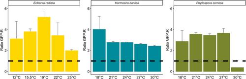 Novel high-throughput oxygen saturation measurements for quantifying the physiological performance of macroalgal early life stages