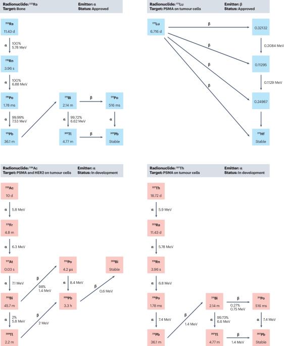 Immune effects of α and β radionuclides in metastatic prostate cancer