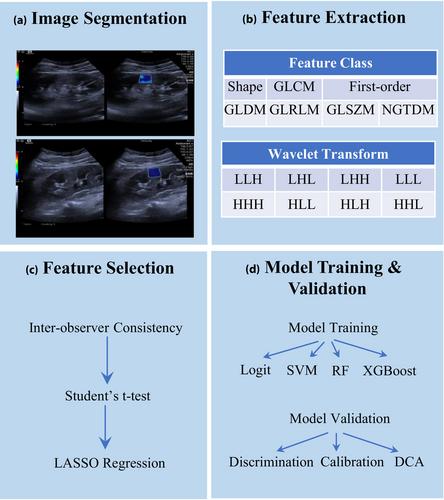 Interpretable machine learning models based on shear-wave elastography radiomics for predicting cardiovascular disease in diabetic kidney disease patients