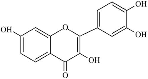 摘要图片