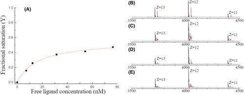 Structural insights into ternary immunocomplex formation and cross-reactivity: binding of an anti-immunocomplex FabB12 to Fab220-testosterone complex