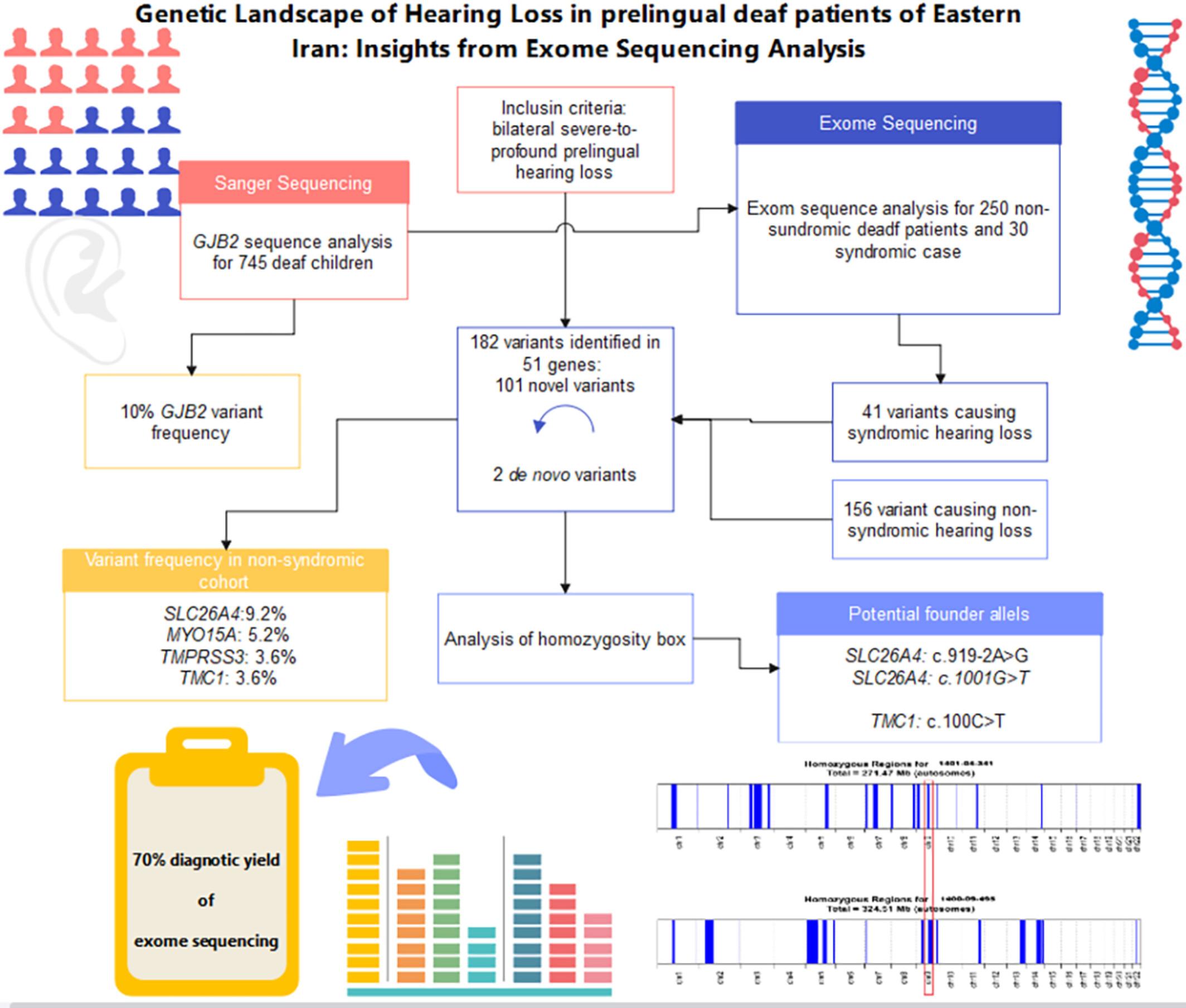 Genetic landscape of hearing loss in prelingual deaf patients of eastern Iran: Insights from exome sequencing analysis