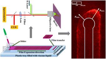 Anisotropic charge transport study of highly oriented P4T2F-HD thin film fabricated at air–liquid interface through second harmonic generation (SHG) analysis