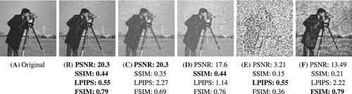 Learning from small data sets: Patch-based regularizers in inverse problems for image reconstruction