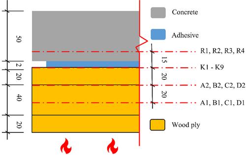 Thermal behavior of adhesively bonded timber-concrete composite slabs subjected to standard fire exposure