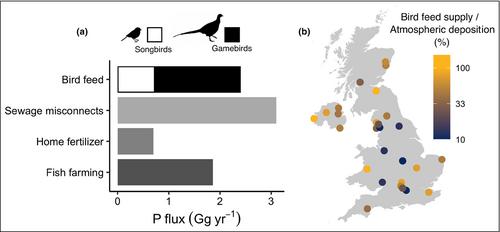 Supplementary bird feeding as an overlooked contribution to local phosphorus cycles