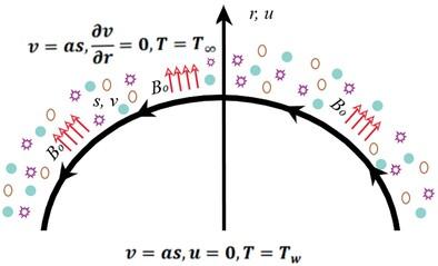 Integrated artificial intelligence and non-similar analysis for forced convection of radially magnetized ternary hybrid nanofluid of Carreau-Yasuda fluid model over a curved stretching surface