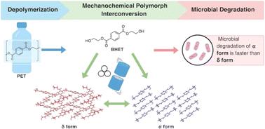 Polymorphism control of polyethylene terephthalate (PET) degradation product via mechanochemistry leads to accelerated microbial degradation†