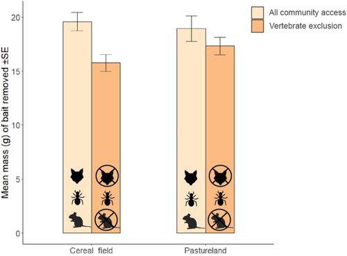 Functional redundancy in carrion decomposition by temperate forest ant communities