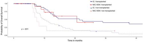 Venetoclax-based non-intensive induction followed by allogenic stem-cell transplantation in elderly acute myeloid leukemia patients with adverse cytogenetics