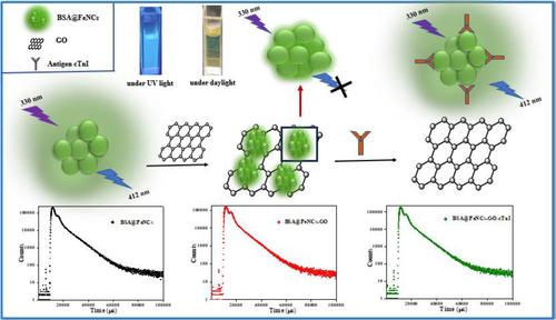 Non-Enzymatic Detection of Cardiac Troponin-I with Graphene Oxide Quenched Fluorescent Iron Nanoclusters (FeNCs)