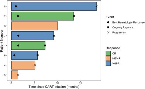 Safety and efficacy of B cell maturation antigen-directed CAR T-cell therapy in patients with relapsed/refractory multiple myeloma and concurrent light chain amyloidosis