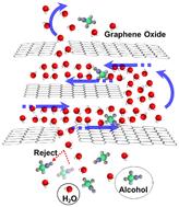 Role of water in vapor permeation through graphene oxide membranes†