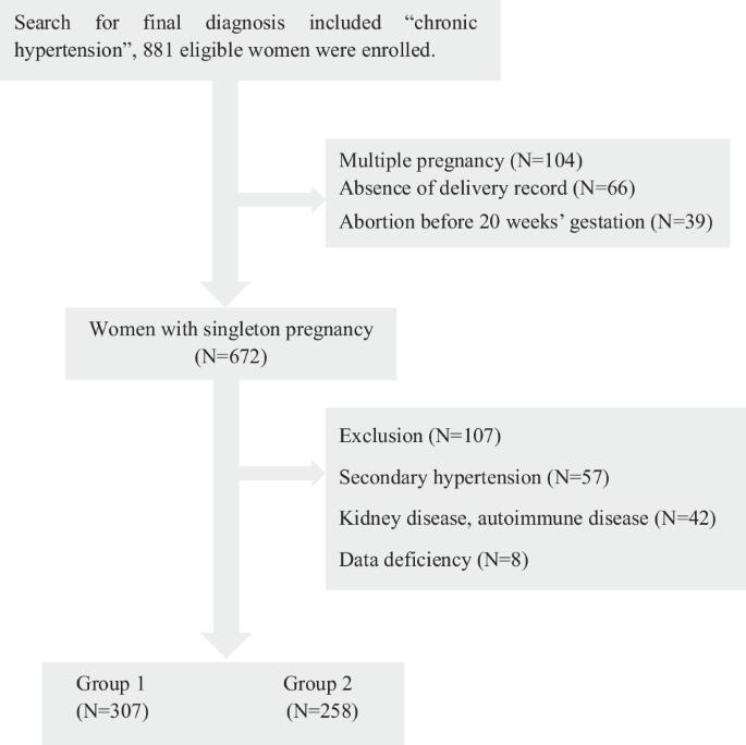 Chronic hypertension diagnosed before or during pregnancy and its effects on pregnancy outcomes