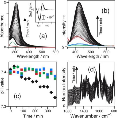 Spectroscopic Analysis of the Initial Step of the Maillard Reaction of d-Fructose and Nα-Acetyl-l-Lysine