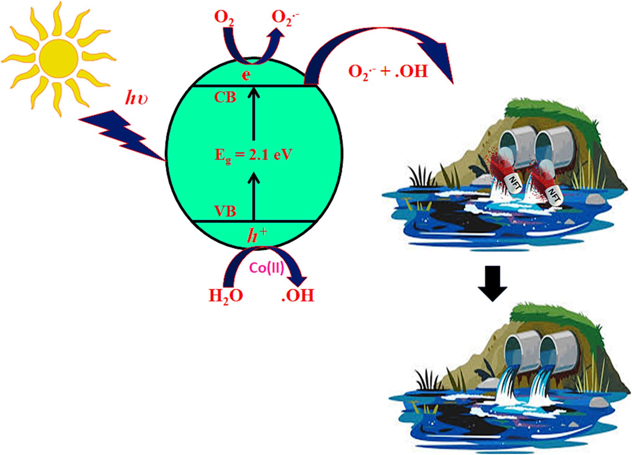 Construction of a New 2D Coordination Polymer: Degradation Antibiotic Nitrofurantoin and Magnetism