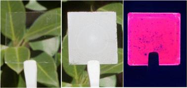 Transparent porous films with real refractive index close to unity for photonic applications†