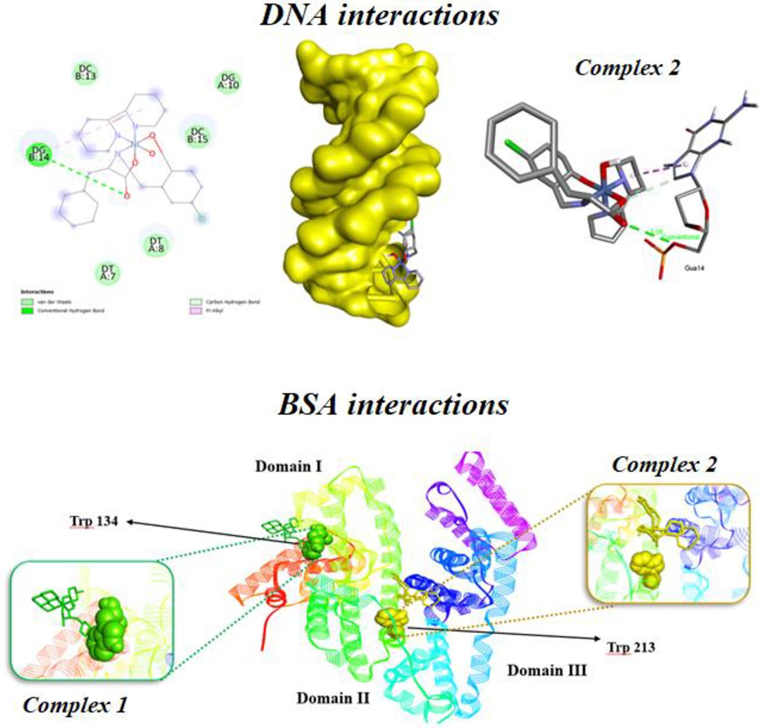 Novel Ni(II) Complexes as Minor Groove Binders: Crystal Structures, Biomolecular Interactions, Molecular Docking, and Biological Activities