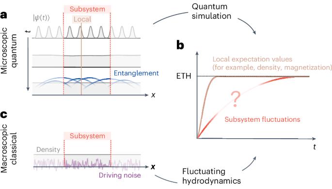 Emergence of fluctuating hydrodynamics in chaotic quantum systems