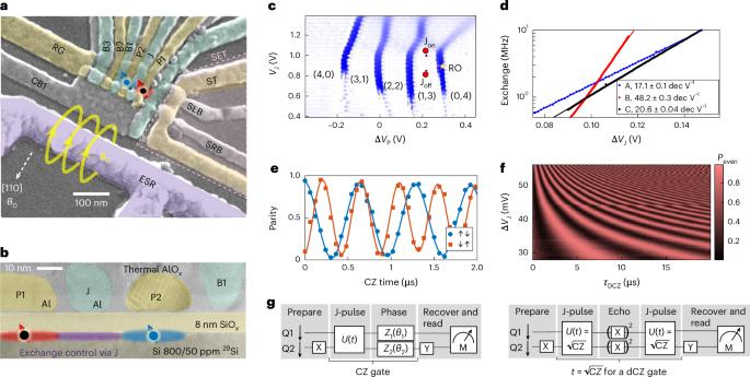 Assessment of the errors of high-fidelity two-qubit gates in silicon quantum dots