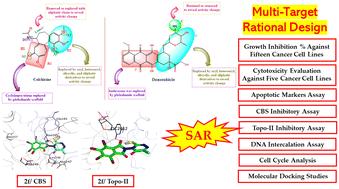 Design and synthesis of novel multi-target tetrabromophthalimides as CBS and Topo-II inhibitors and DNA intercalators†