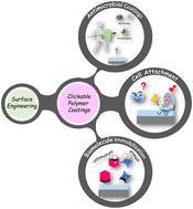 ‘Clickable’ polymeric coatings: from antibacterial surfaces to interfaces with cellular and biomolecular affinity