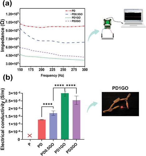 Graphene Oxide-Incorporated Polylactic Acid/Polyamidoamine Dendrimer Electroconductive Nanocomposite as a Promising Scaffold for Guided Tissue Regeneration