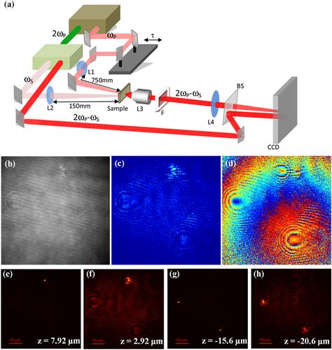 Recent Progress in Deep Learning for Improving Coherent Anti-Stokes Raman Scattering Microscopy