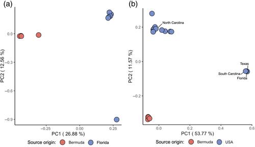 Evolutionary genomics analysis reveals a unique lineage of Megachile pruina found in an isolated population in Bermuda