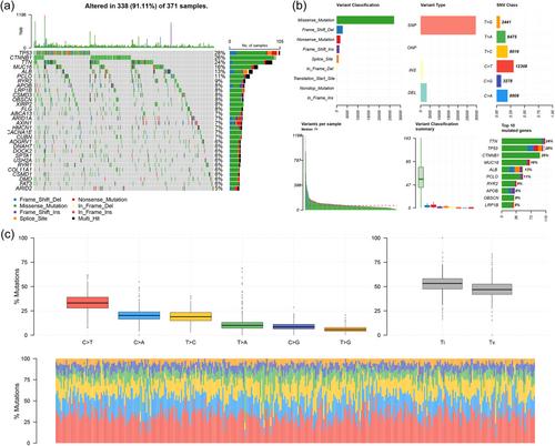 Prediction of clinical prognosis and drug sensitivity in hepatocellular carcinoma through the combination of multiple cell death pathways