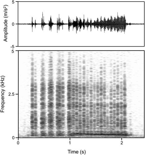 VibePy: An open-source tool for conducting high-fidelity vibrational playback experiments