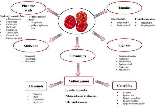 Updated evidence on raspberries as functional foods: Anticancer bioactivity and therapeutic implications